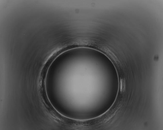 X0000097970723200804011720