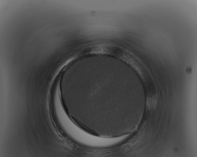 X0000097970724200804011720