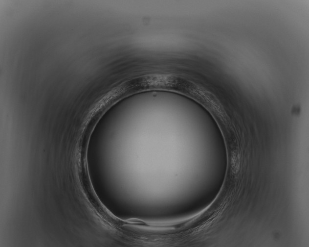 X0000097970725200804011720