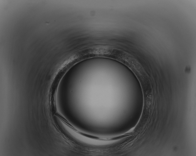 X0000097970727200804011720