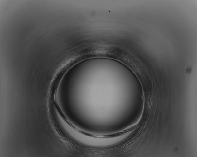 X0000097970728200804011720