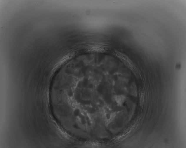 X0000097970729200804011720