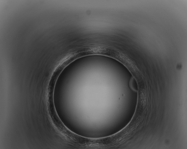 X0000097970730200804011720