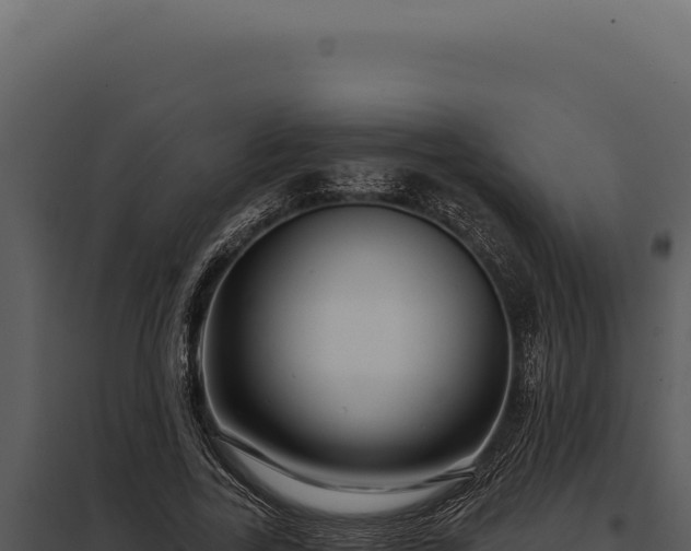 X0000097970731200804011720