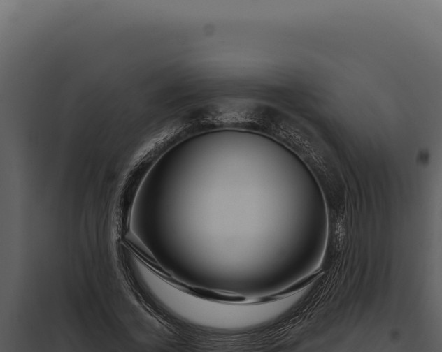 X0000097970732200804011720