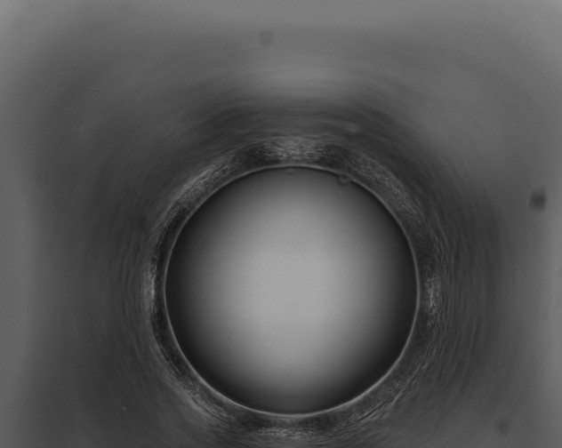 X0000097970733200804011720