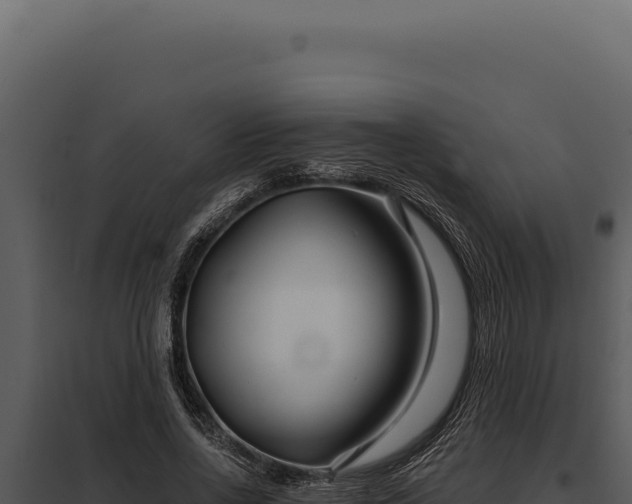 X0000097970734200804011720