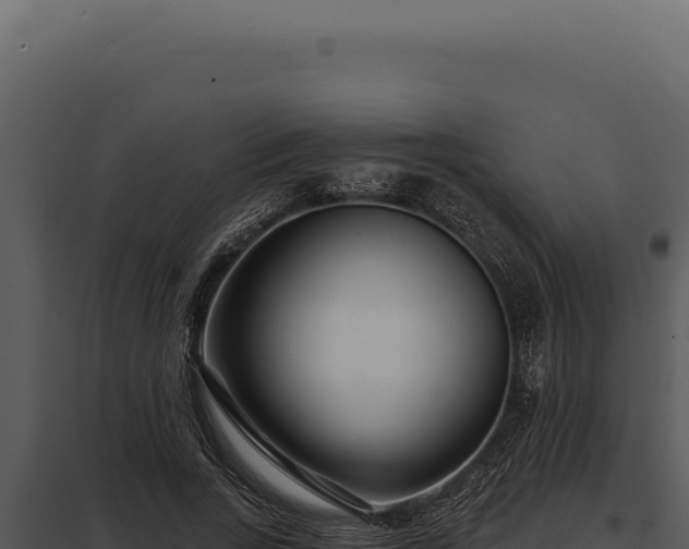 X0000097970735200804011720