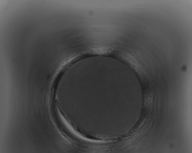 X0000097970736200804011720