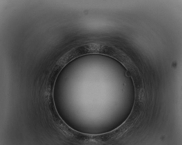 X0000097970737200804011720