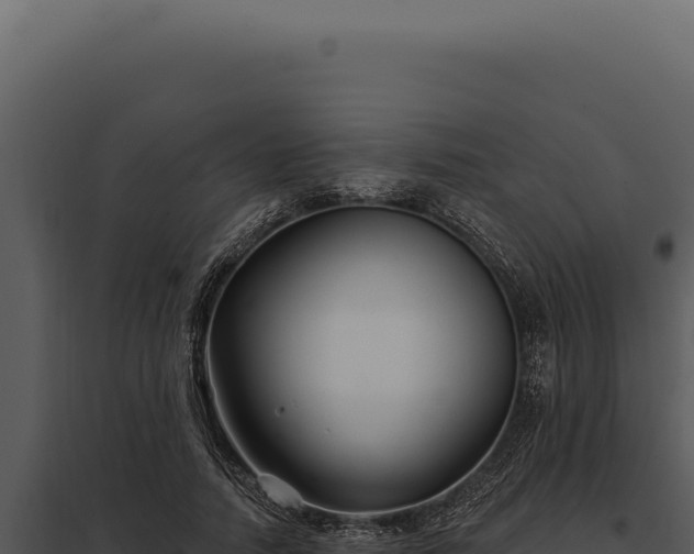 X0000097970738200804011720