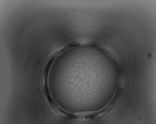 X0000097970740200804011720