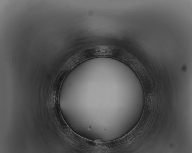 X0000097970741200804011720