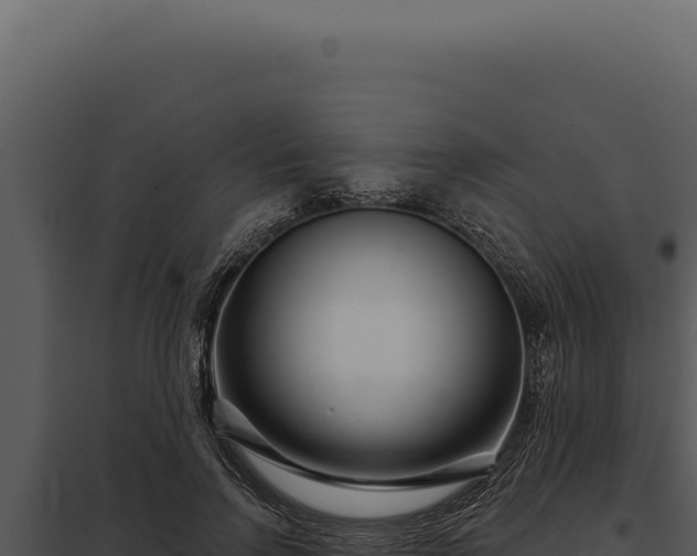 X0000097970742200804011720