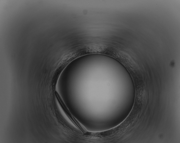 X0000097970743200804011720