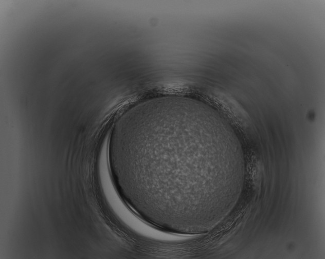 X0000097970744200804011720