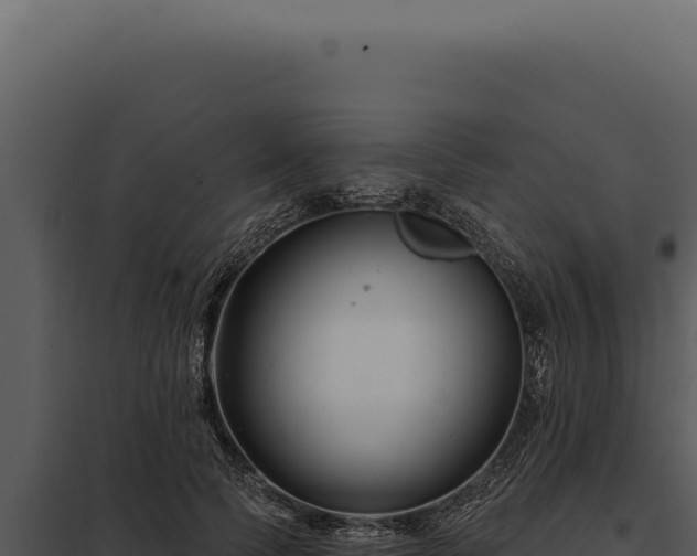 X0000097970745200804011720