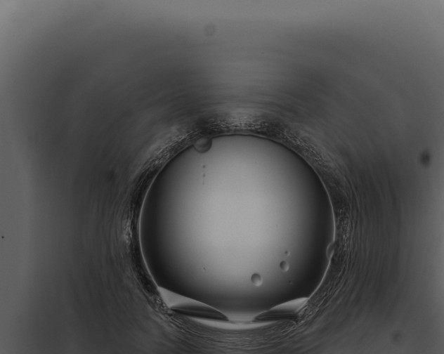 X0000097970746200804011720