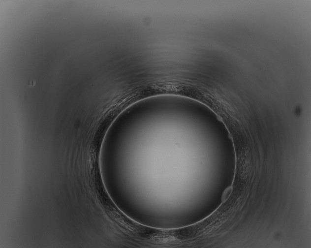 X0000097970747200804011720