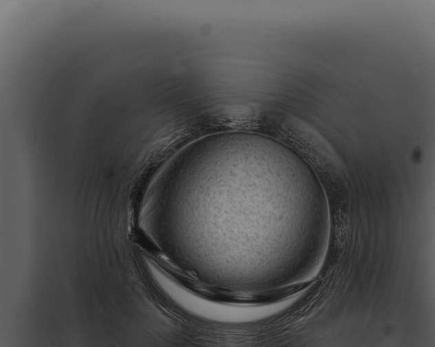 X0000097970748200804011720