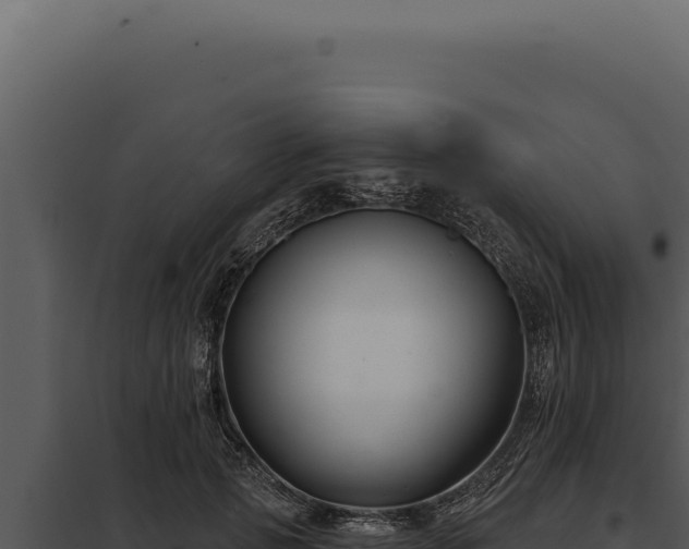 X0000097970749200804011720