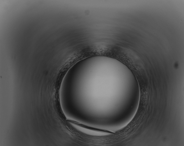 X0000097970750200804011720