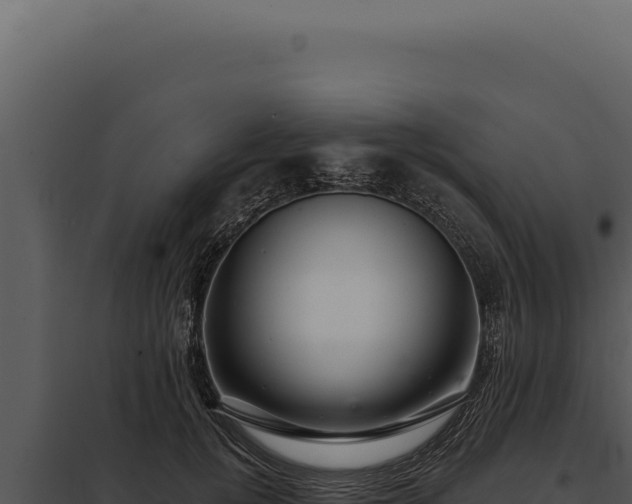 X0000097970752200804011720