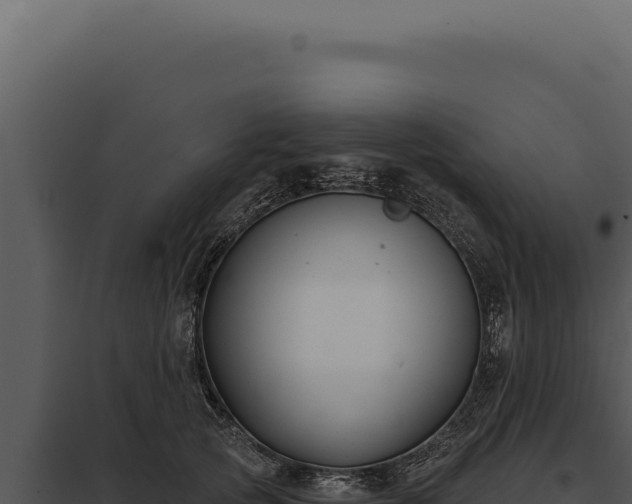 X0000097970753200804011720