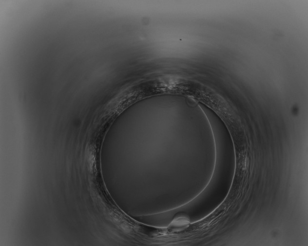 X0000097970754200804011720