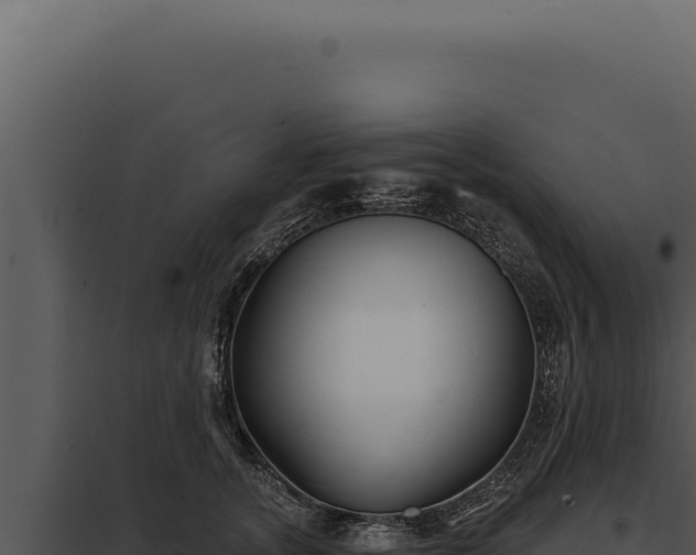 X0000097970755200804011720