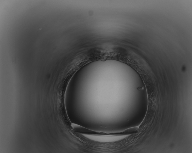 X0000097970756200804011720