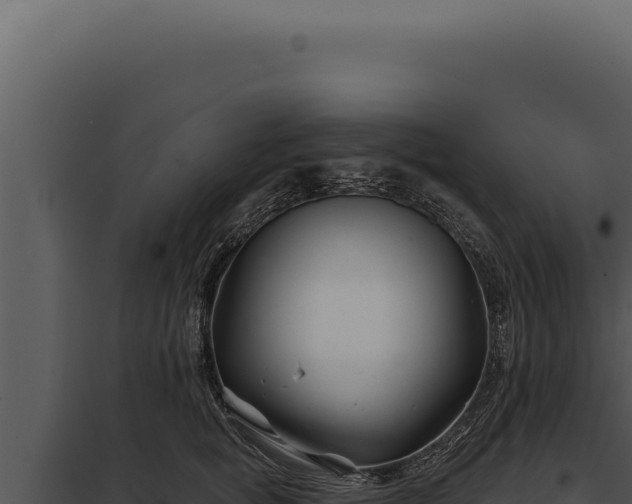 X0000097970757200804011720