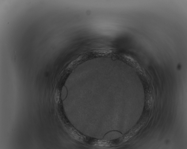 X0000097970758200804011720