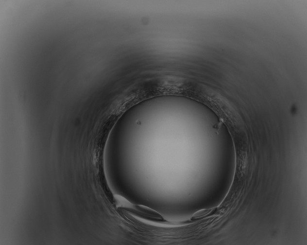 X0000097970759200804011720