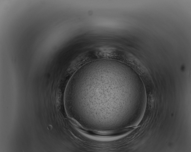 X0000097970760200804011720