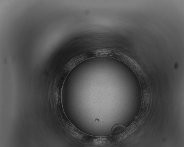 X0000097970761200804011720