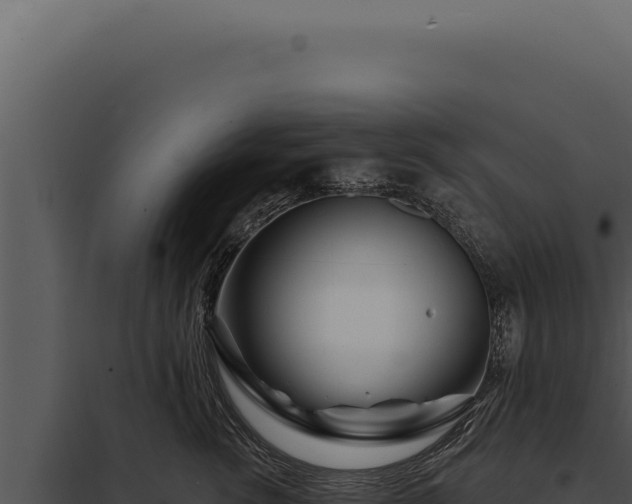 X0000097970762200804011720