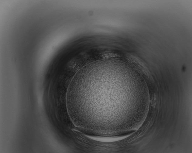 X0000097970763200804011720