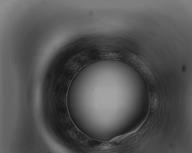 X0000097970764200804011720