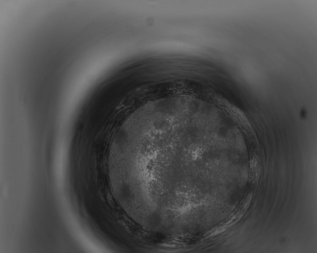 X0000097970765200804011720