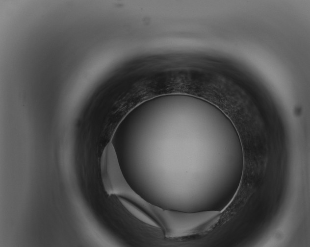 X0000097970766200804011720