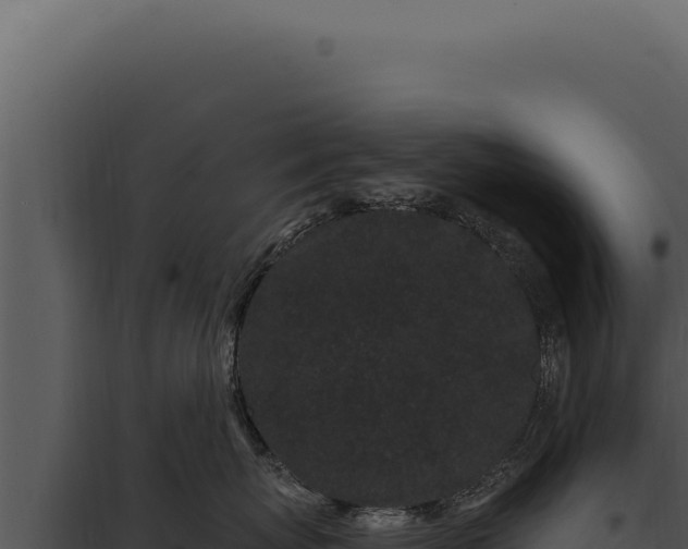 X0000097970767200804011720