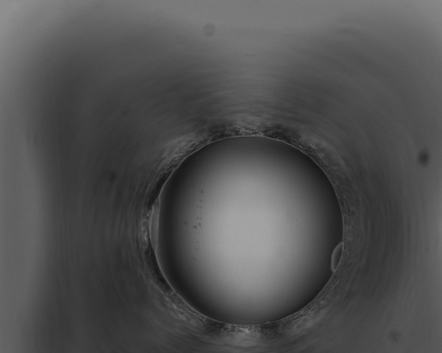 X0000097970768200804011720