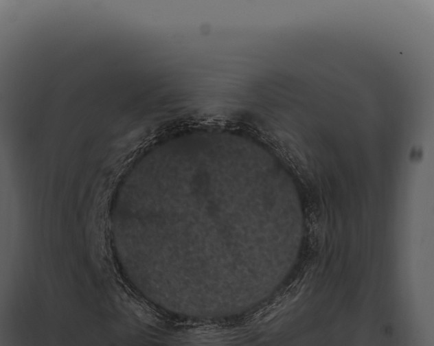 X0000097970769200804011720