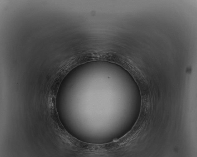 X0000097970770200804011720