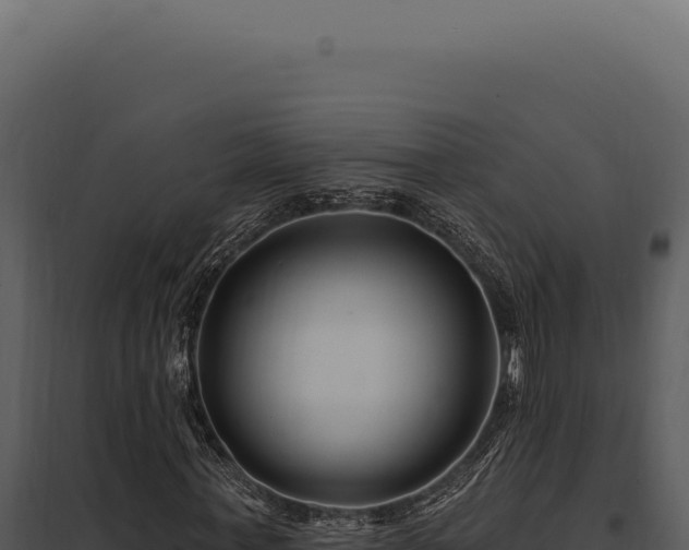 X0000097970771200804011720