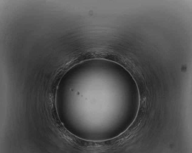 X0000097970772200804011719