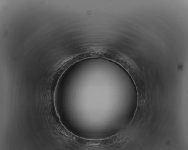 X0000097970773200804011719