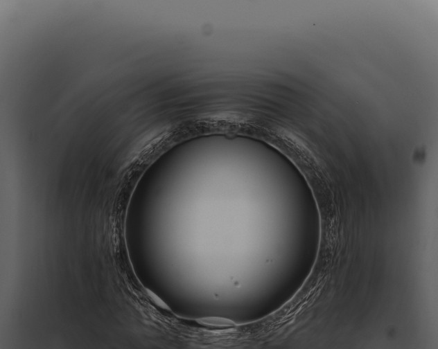 X0000097970774200804011719