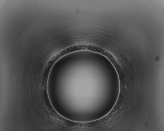 X0000097970775200804011719